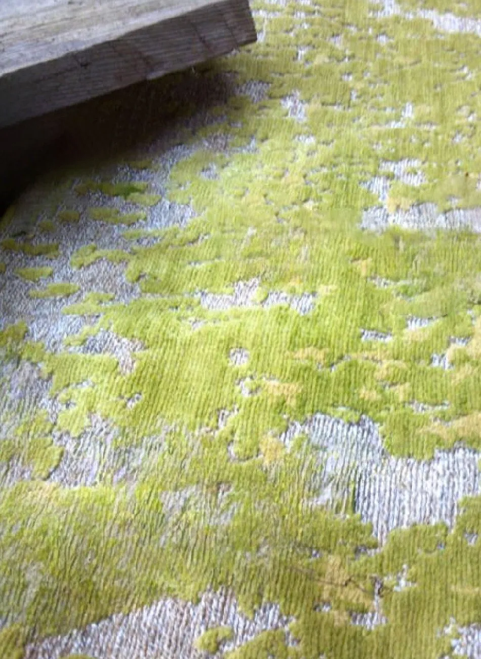 Tamarian Tibetan Rug Green